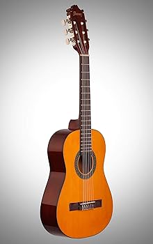 アコースティックギター　ibanez Amazon | Ibanez アイバニーズ PN1 Natural Parlor